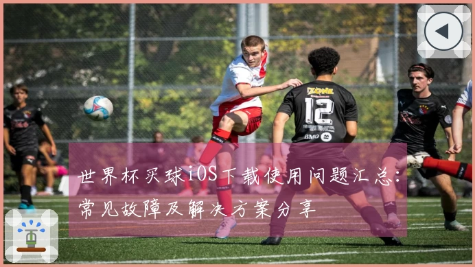 世界杯买球iOS下载使用问题汇总：常见故障及解决方案分享