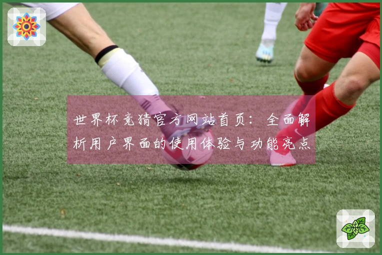 世界杯竞猜官方网站首页：全面解析用户界面的使用体验与功能亮点