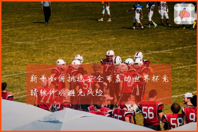 新手如何挑选安全可靠的世界杯竞猜软件以避免风险
