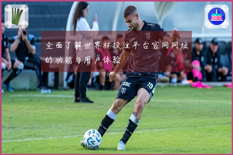 全面了解世界杯投注平台官网网址的功能与用户体验