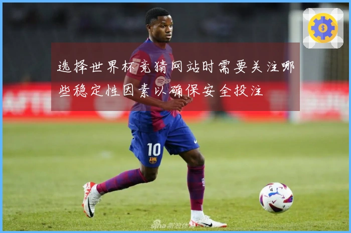选择世界杯竞猜网站时需要关注哪些稳定性因素以确保安全投注