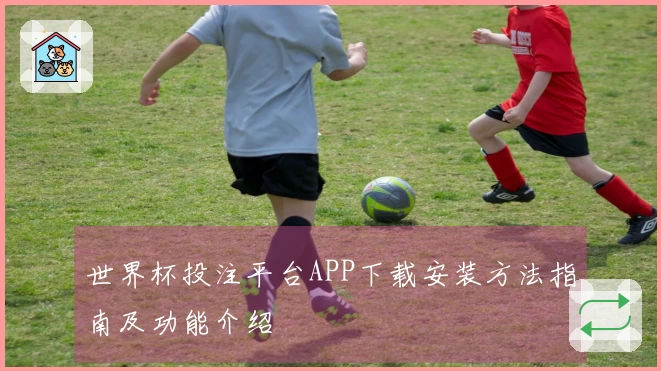 世界杯投注平台APP下载安装方法指南及功能介绍
