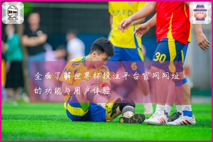 全面了解世界杯投注平台官网网址的功能与用户体验