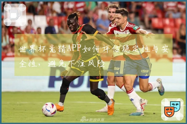 世界杯竞猜APP如何评估稳定性与安全性，避免下注风险